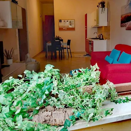 Apartment Brisa Marina *